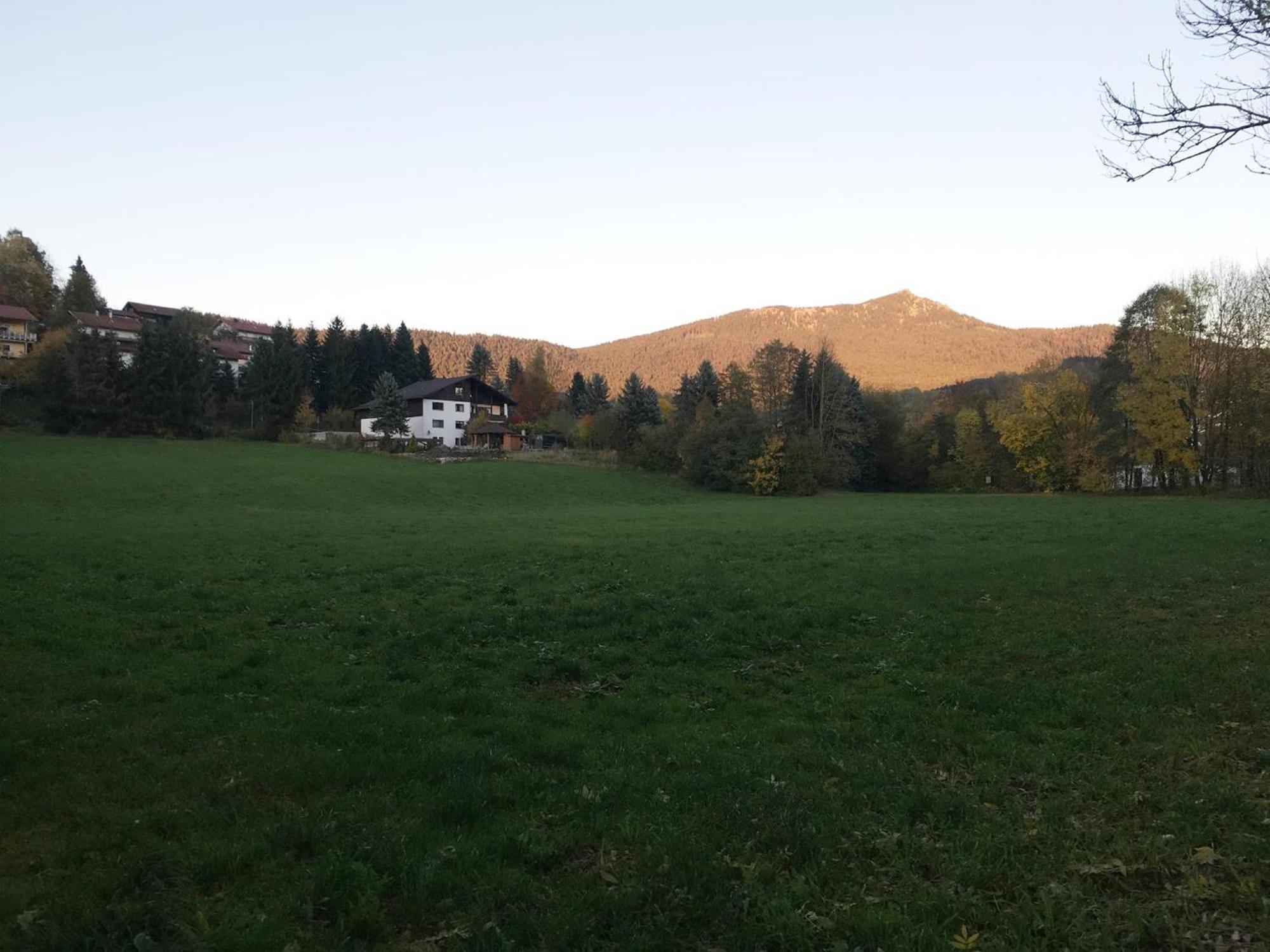 Ferienwohnung Traummichel Lam Exteriör bild